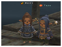 the StarOnion, Maiev, Tazo, Dat Change and Taru Haircuts, FFXI